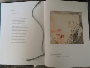 de-gelatene-in-boek-300x228