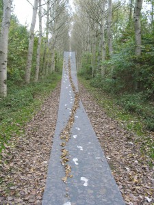 sporen-2005-natuurpark-lelystad-225x300