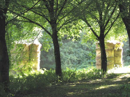 nieuw-verleden-440x330